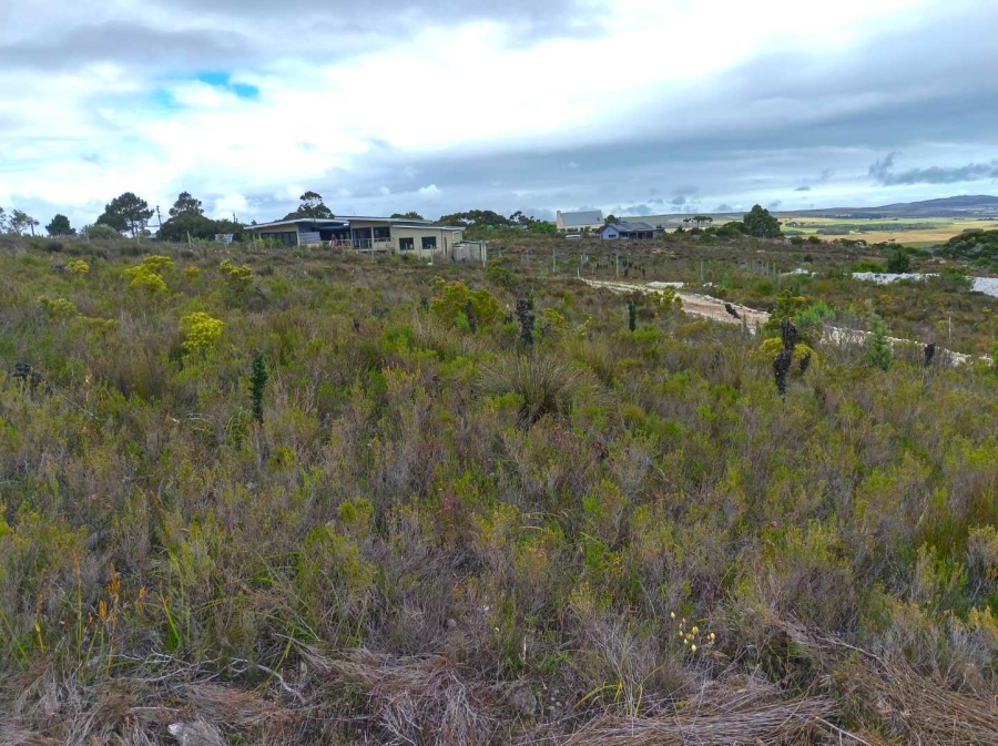 0 Bedroom Property for Sale in Baardskeerdersbos Western Cape